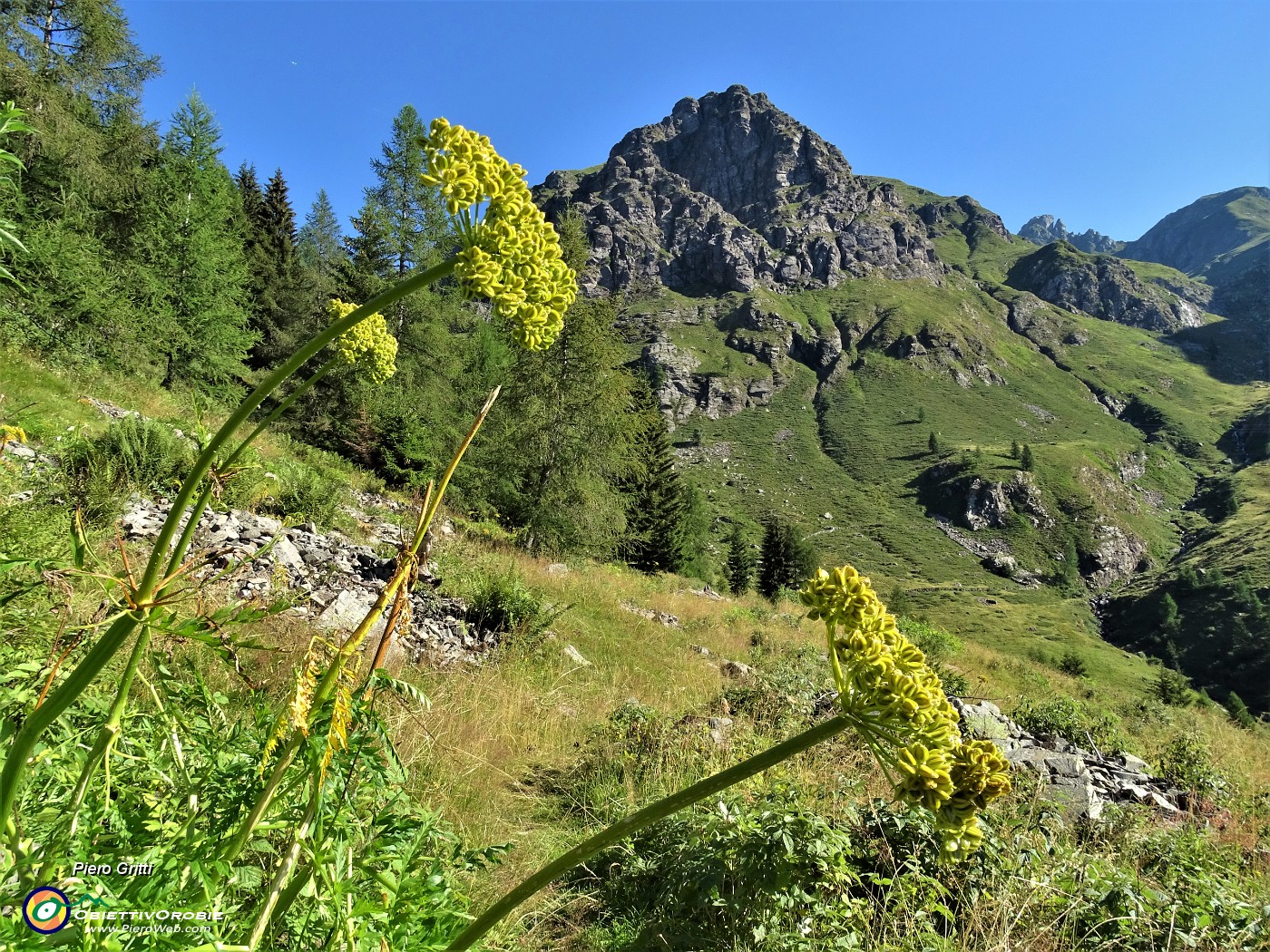 17 Vista verso il Monte Valletto.JPG